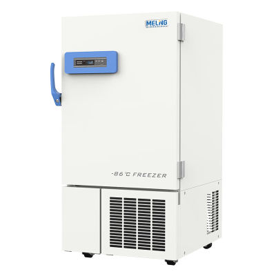 DW-HL218.jpg