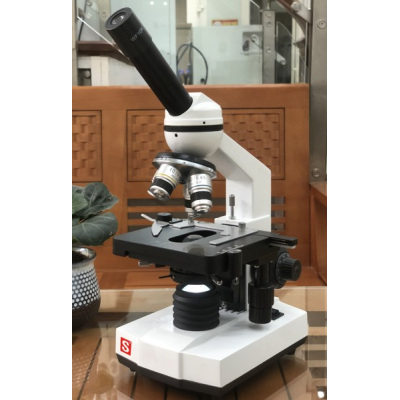 L1000A.jpg