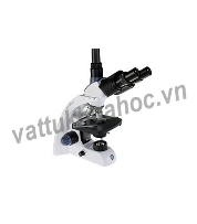 Kính hiển vi 3 mắt Euromex BB.4253