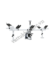 Kính hiển vi 5 người quan sát (vật kính IOS) Euromex IS.1156-PLi5