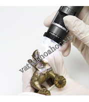 Kính hiển vi điện tử cầm tay Dino-lite AM4115T