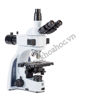 Kính hiển vi huỳnh quang Euromex IS.3153-EPLi/LB