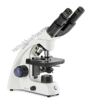 Kính hiển vi sinh học 2 mắt MicroBlue Euromex MB.1152