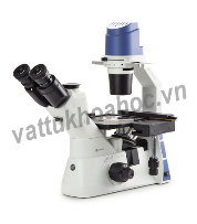 Kính hiển vi soi ngược (chuyên dụng soi vi sinh vật) Euromex OX.2053-PLPH