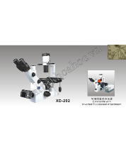 Kính hiển vi soi ngược NOVEL XD-202