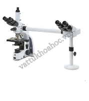 Kính hiển vi thảo luận 2 người quan sát Euromex IS.1156-PLi2