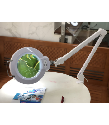 Kính lúp kẹp bàn (thấu kính xanh, tròn to, điều chỉnh độ sáng, loại xịn) STECH 8066A-5X-L