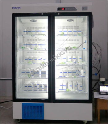 Tủ lạnh bảo quản mẫu 656 lít, 2 cánh, 2 – 8oC Biobase BPR-5V588